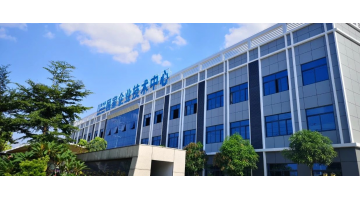 888电子游戏股份入选2025年天下科技事情者视察站点名单