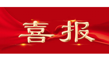 888电子游戏股份项目获广西科技前进奖